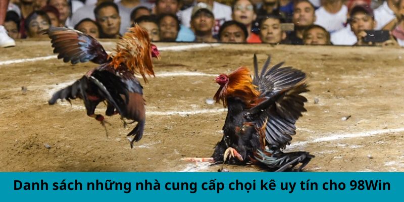 Danh sách những nhà cung cấp chọi kê uy tín cho 98Win