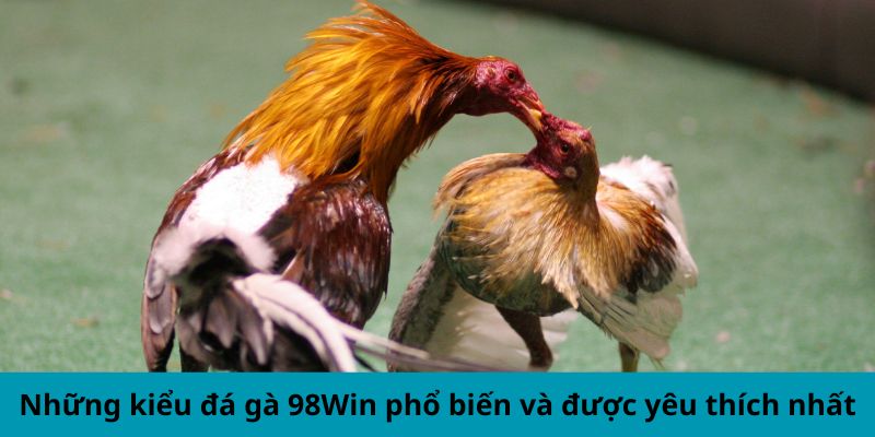 Những kiểu đá gà 98Win phổ biến và được yêu thích nhất